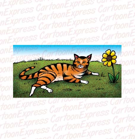 Tabby cat resting